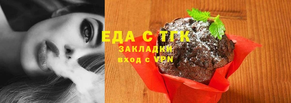 крисы Бородино