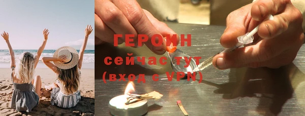 крисы Бородино