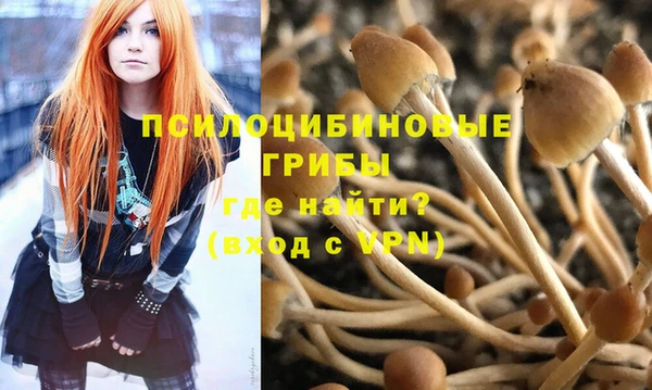 стаф Богородицк