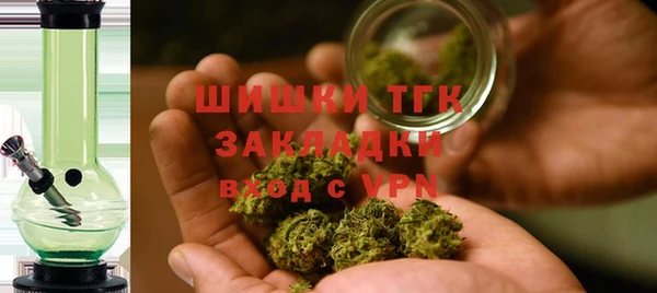 крисы Бородино