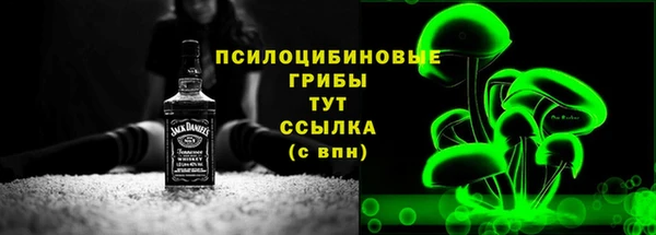 стаф Богородицк