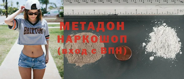 крисы Бородино