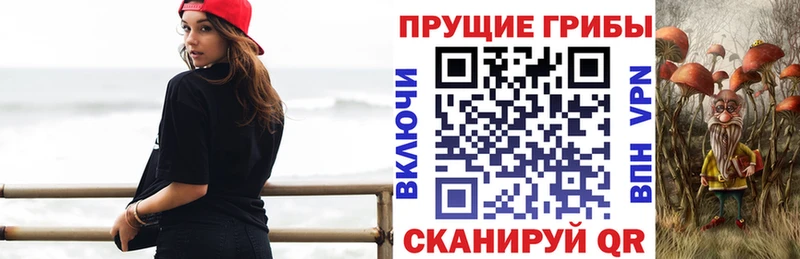 Купить  Чапаевск  Псилоцибиновые грибы ЛСД 